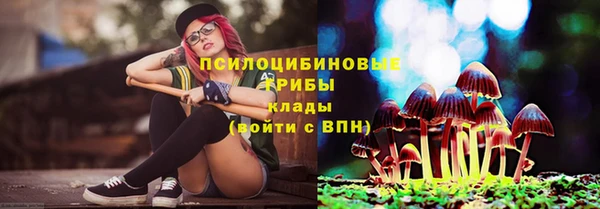 гидра Абаза