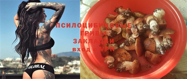 прущие крисы Алзамай