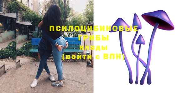 гидра Абаза