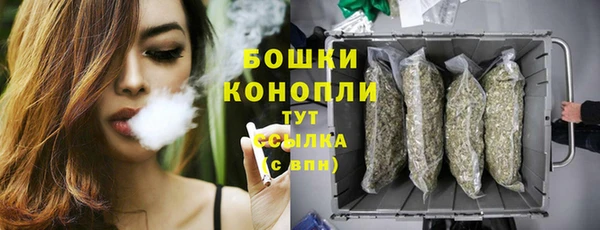 гидра Абаза