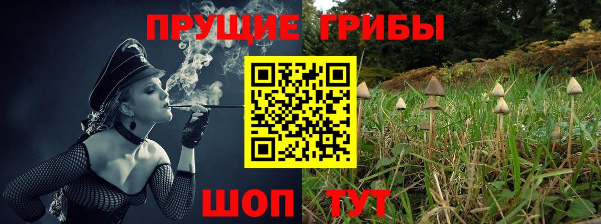 Сургут  сколько стоит  Вход с VPN  Псилоцибиновые грибы мицелий  Псилоцибиновые грибы прущие грибы 